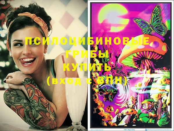 стафф Балахна