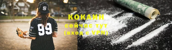 индика Белокуриха