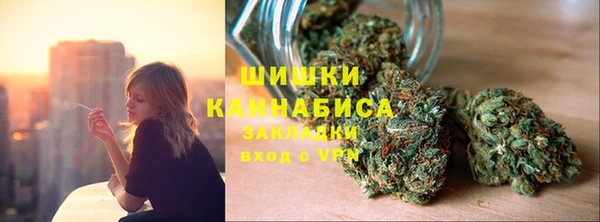 индика Белокуриха