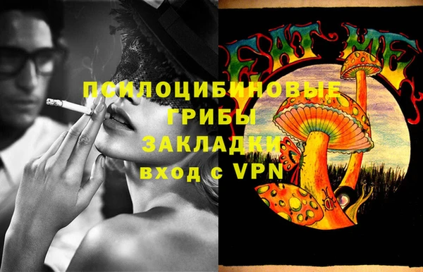 индика Белокуриха