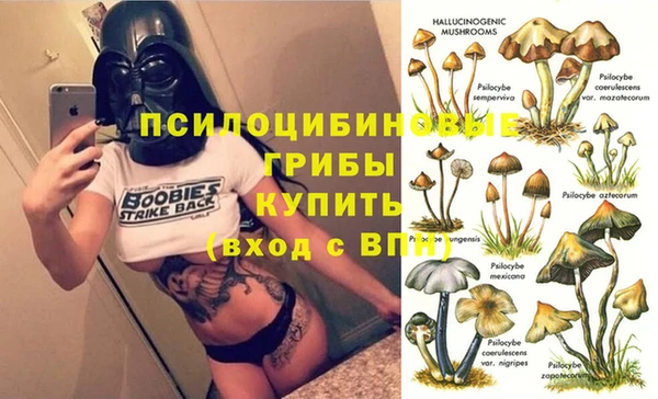 стафф Балахна