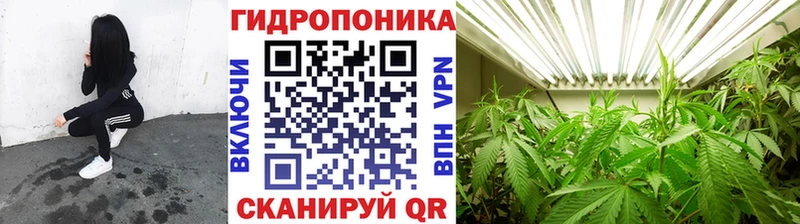 блэк спрут ТОР  Ростов-на-Дону  Каннабис индика 